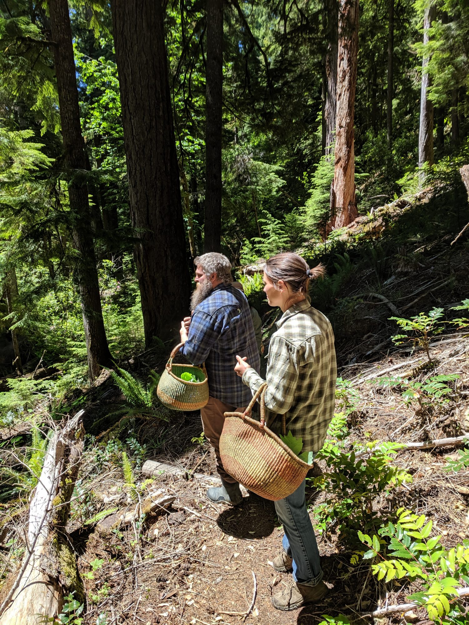 mgf-foraging.jpg