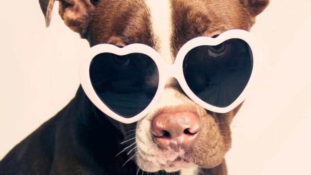 Heart-shaped sunnies