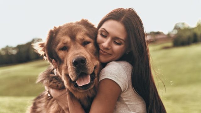 dog breed zodiac sign