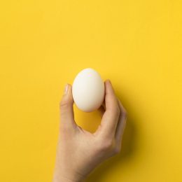 Hand holding up an egg against a yellow background
