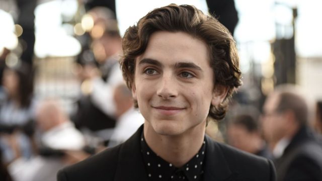 Timothée Chalamet walking the red carpet at the 25th Annual Screen Actors Guild Awards