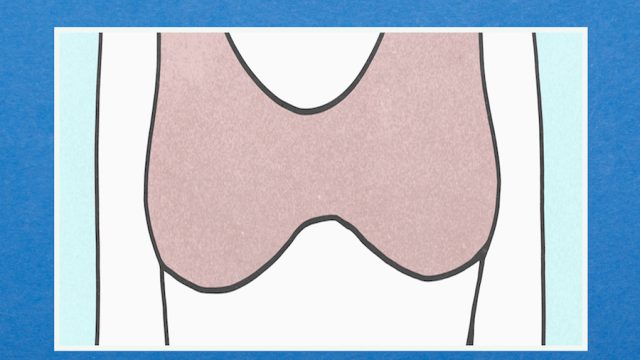 Illustration of breasts in a sports bra on a blue background