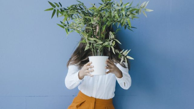 Woman holding a houseplant in front of her face