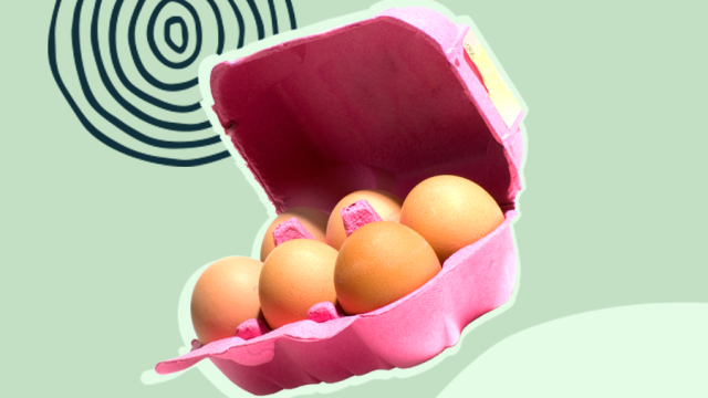 Embryos