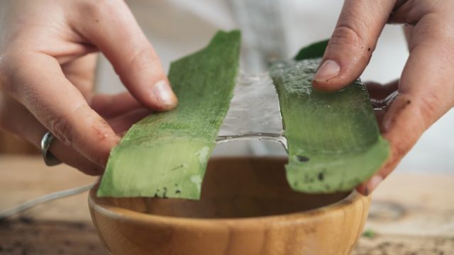 aloe vera skin