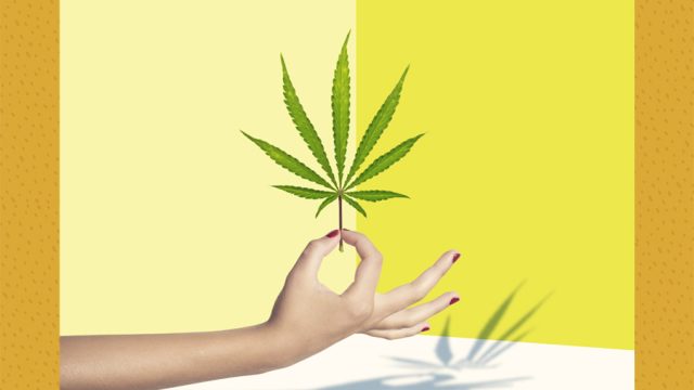 what-is-cbd