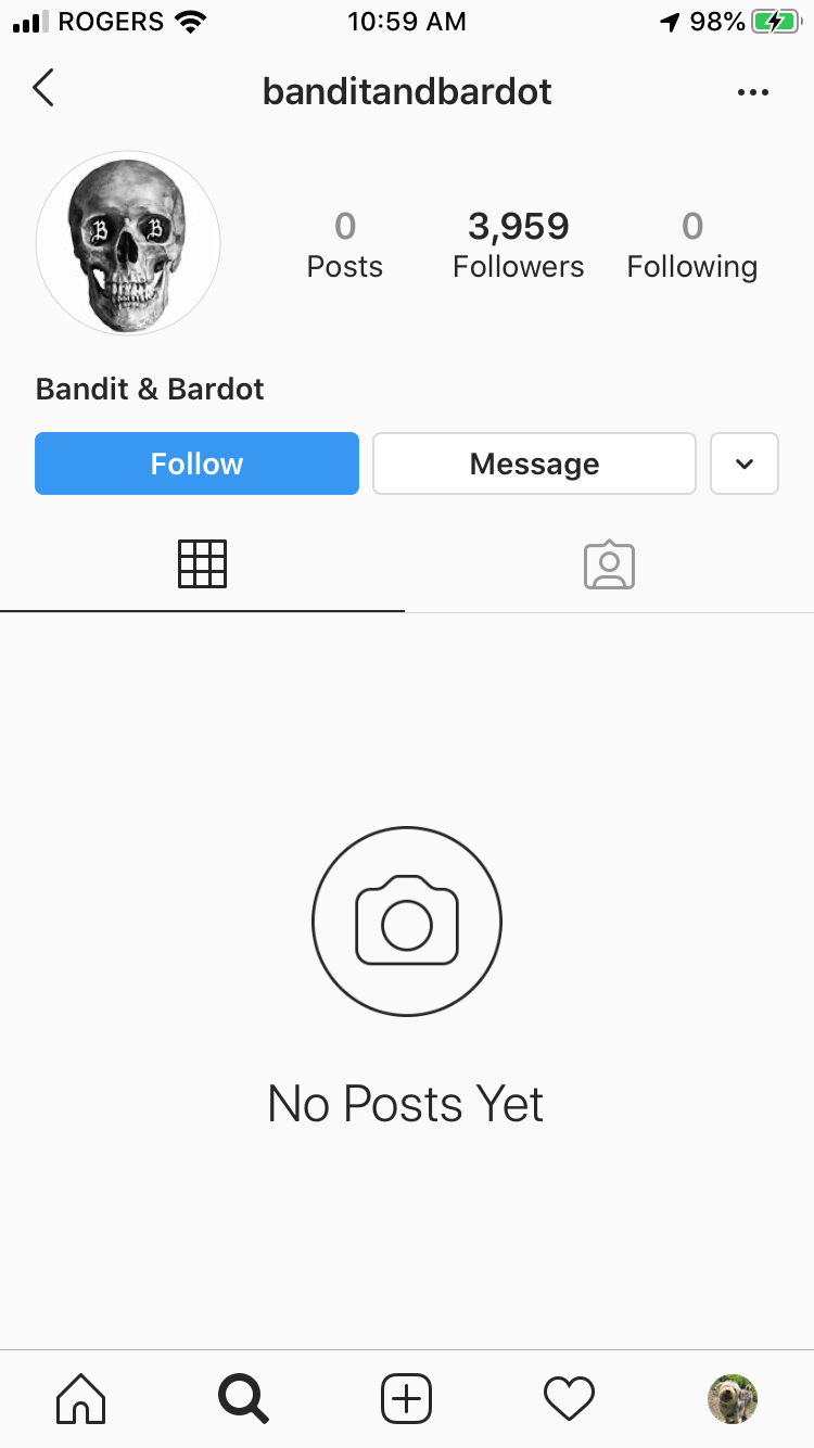 bandit-and-bardot.png