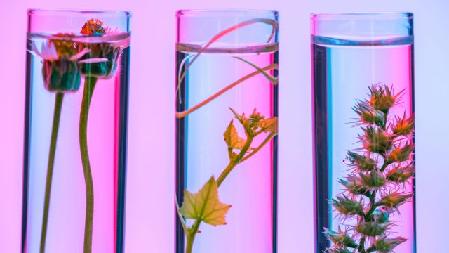 biotech-skincare-ingredienty