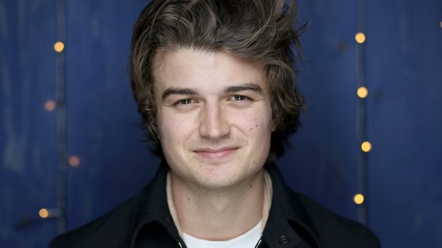 stranger things star joe keery hair