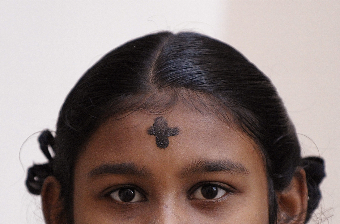 Ash Wednesday Ashes – Spanish – Diocesan