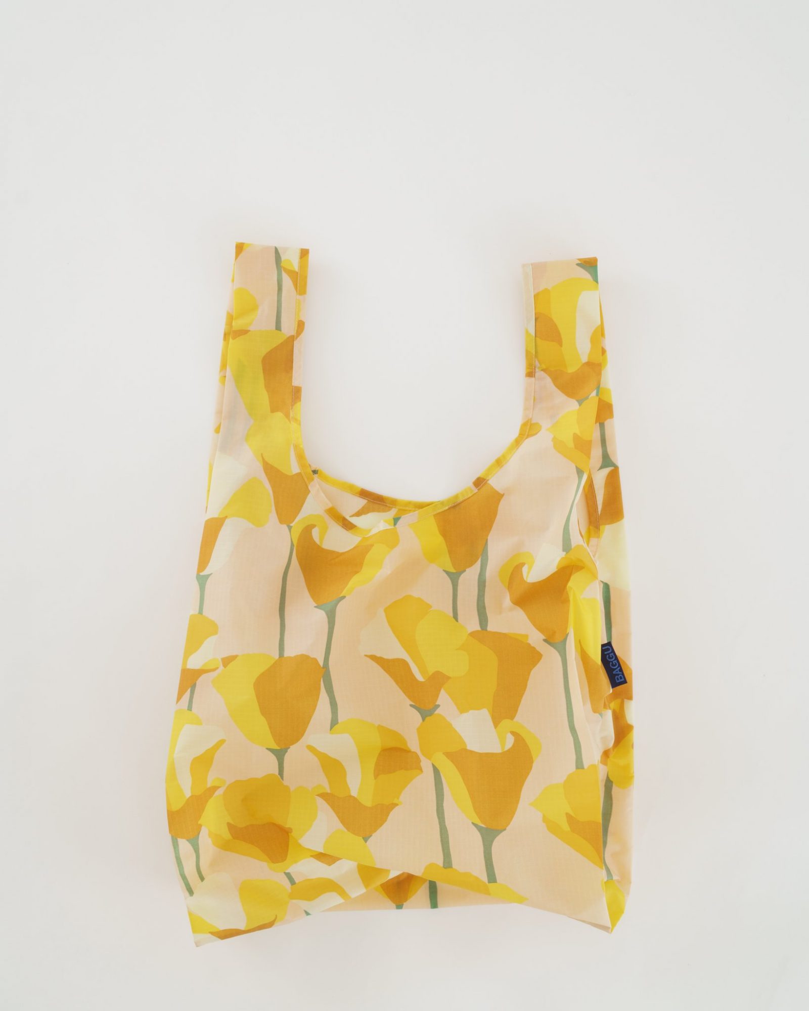 picture-of-reusable-bag-photo