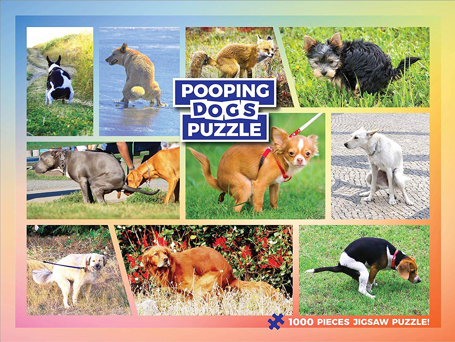 pooping-dogs-puzzle.jpg