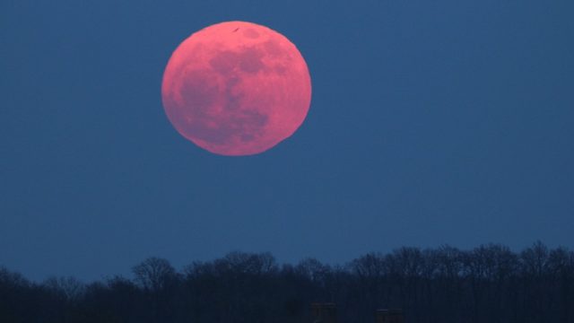 pink supermoon in the sky