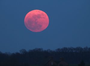 pink supermoon in the sky