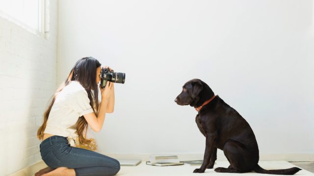 nikon photography classes online free