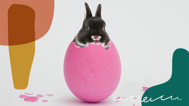 easter captions, easter quotes