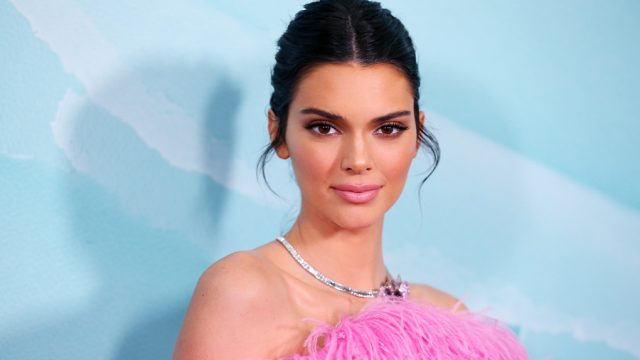 kendall jenner fyre festival, kendall jenner on the red carpet