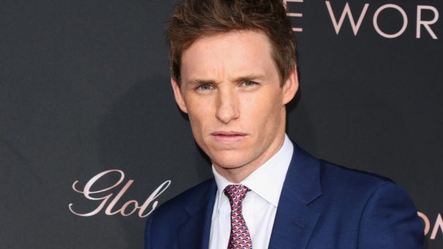 eddie redmayne, newt scamander in fantastic beasts by jk rowling