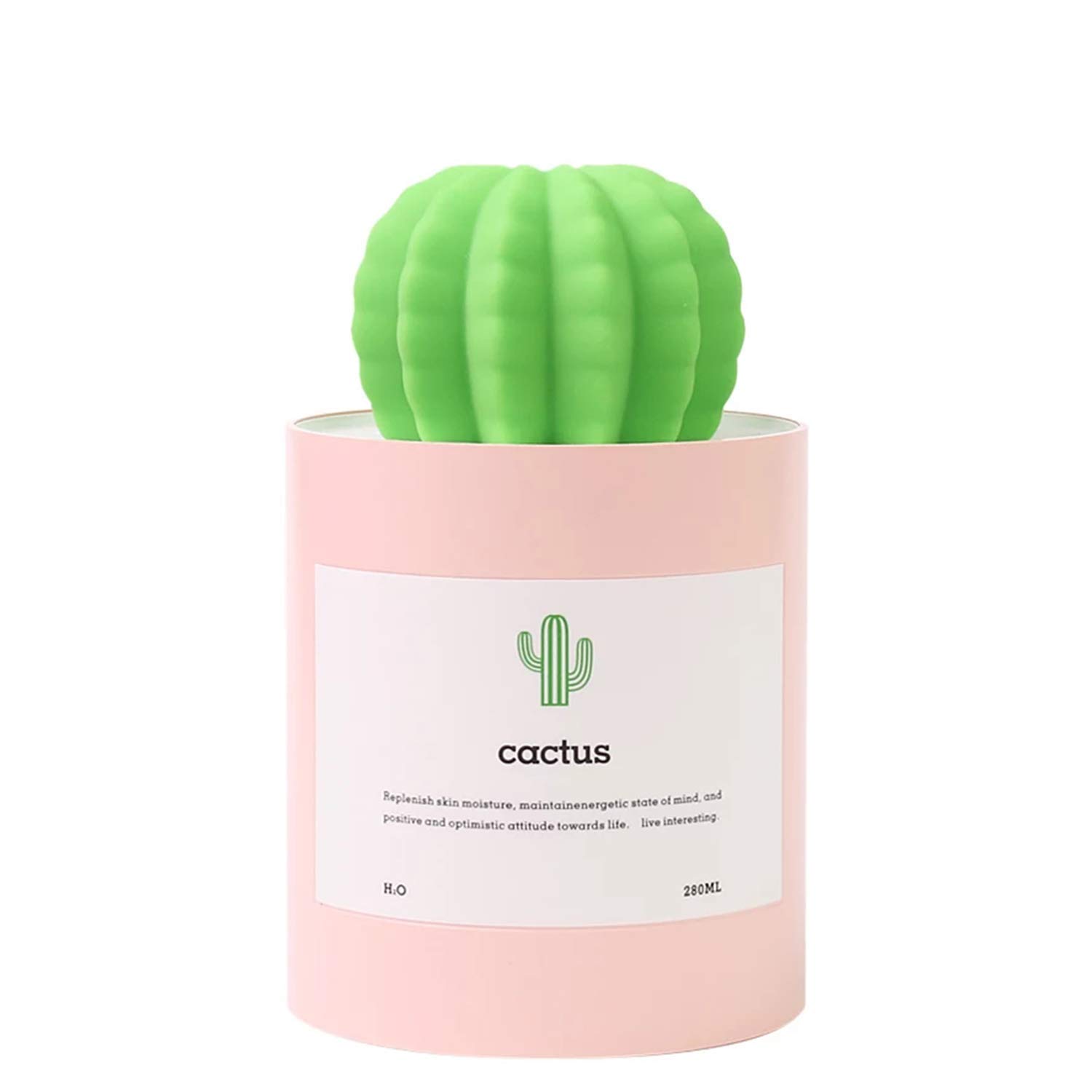 picture-of-cactus-humidifier-photo