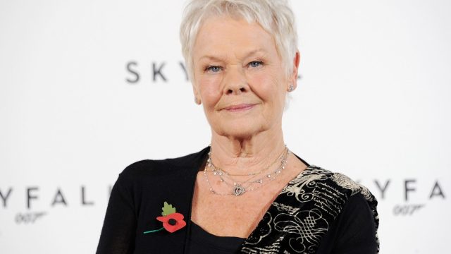dame judy dench, tiktok videos
