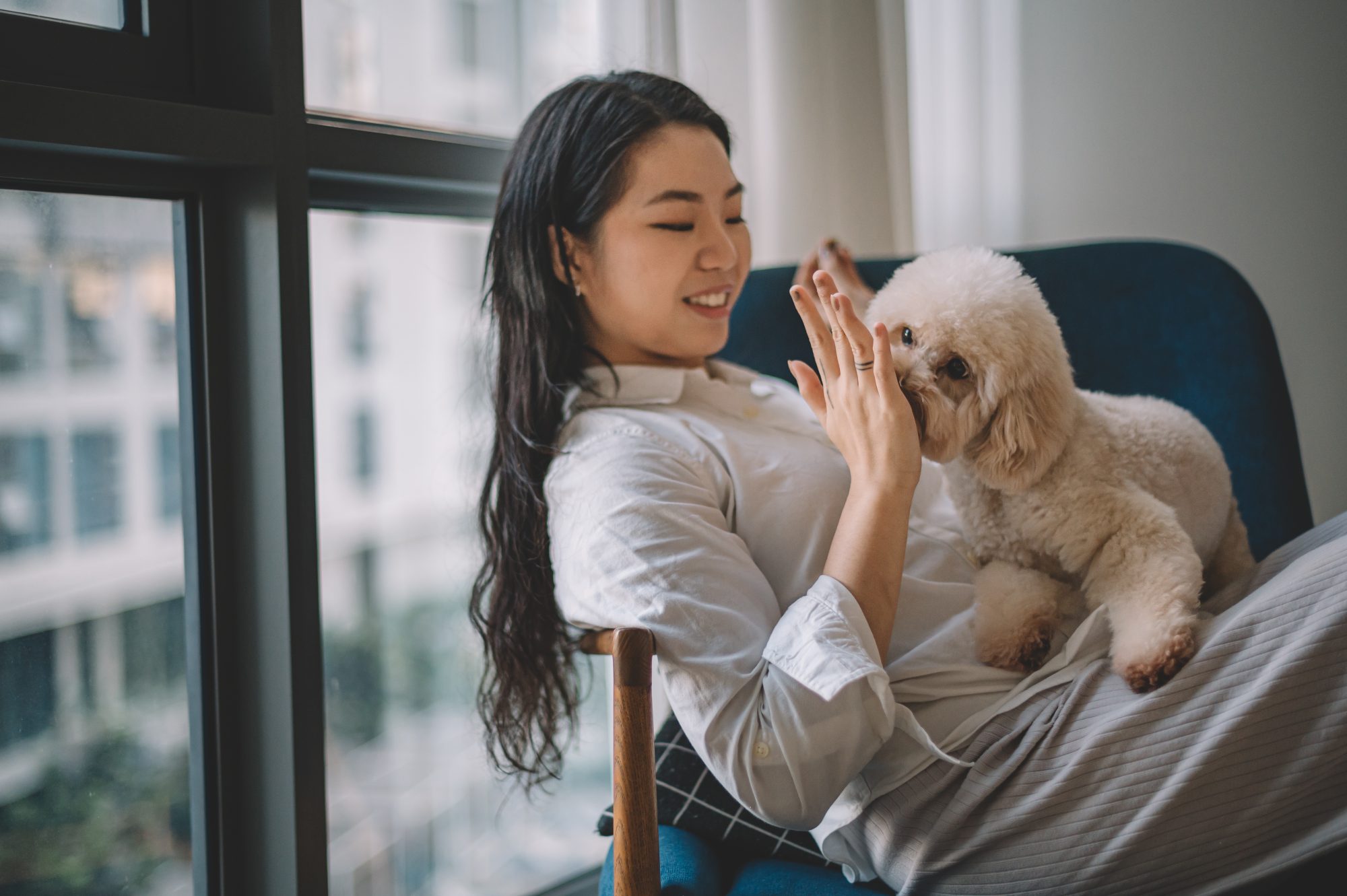 how to get an emotional support animal