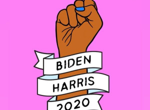 kamala harris vice president