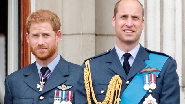 prince william and prince harry princess diana statue