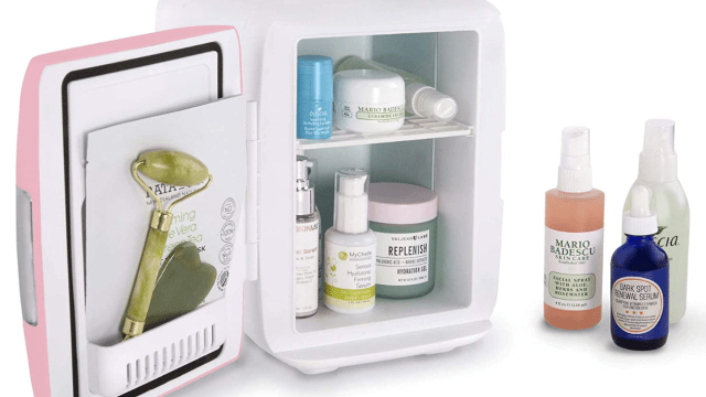 mini beauty fridge white elephant gift