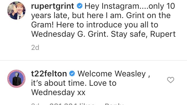 tom felton comment