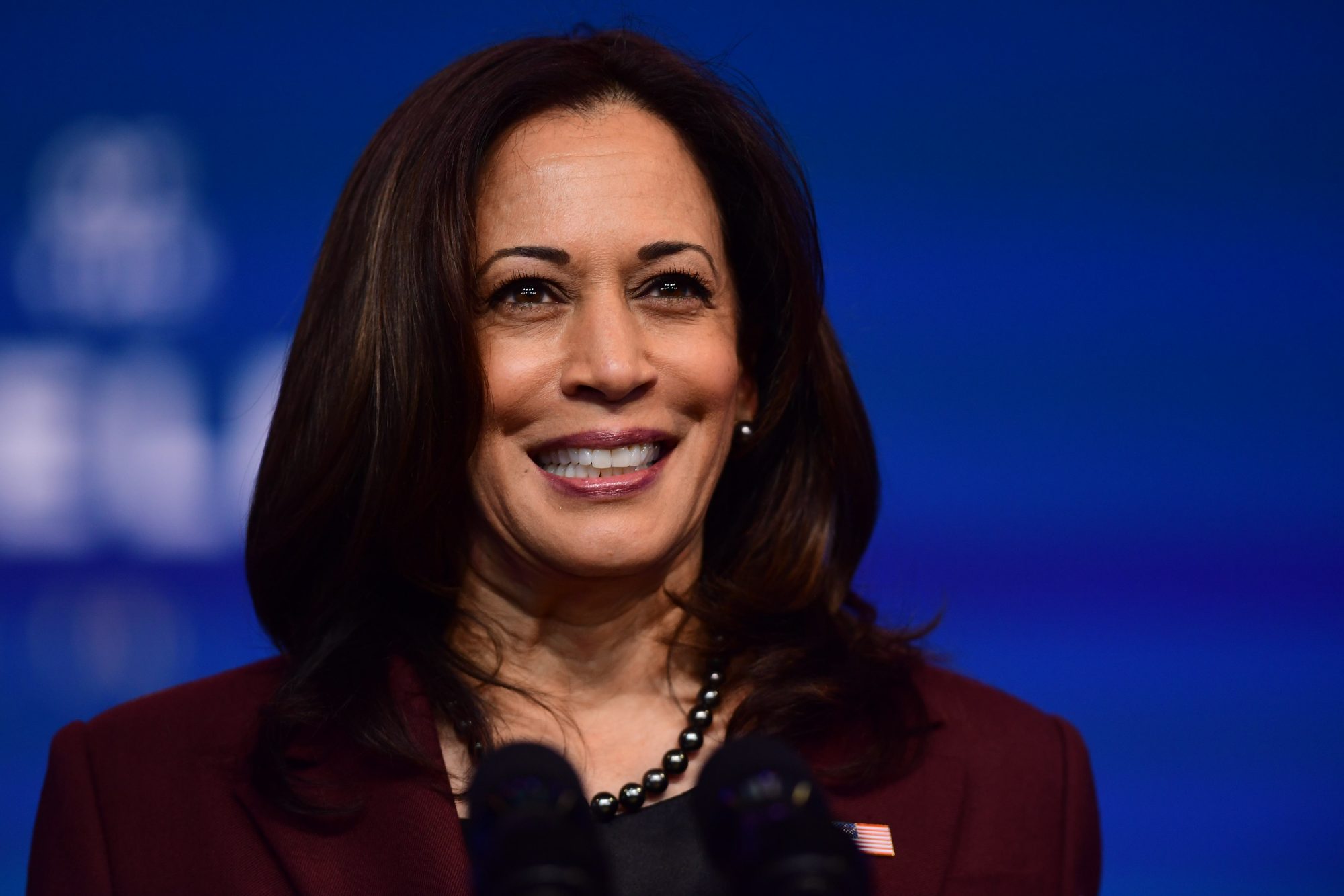 Kamala Harris' Turkey Recipe Just Went Viral On TikTokHelloGiggles