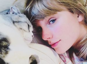 taylor swift with cat