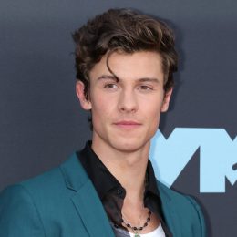 shawn mendes sexuality