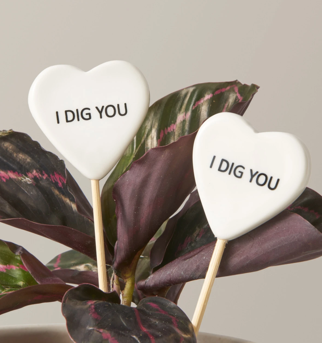 last-minute Valentine's Day Gift Ideas