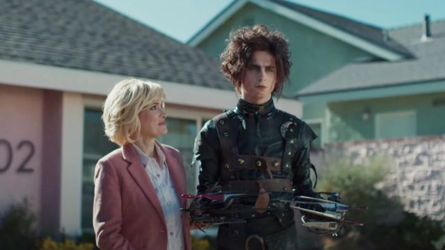 Timothee Chalamet as Edgar Scissorhands