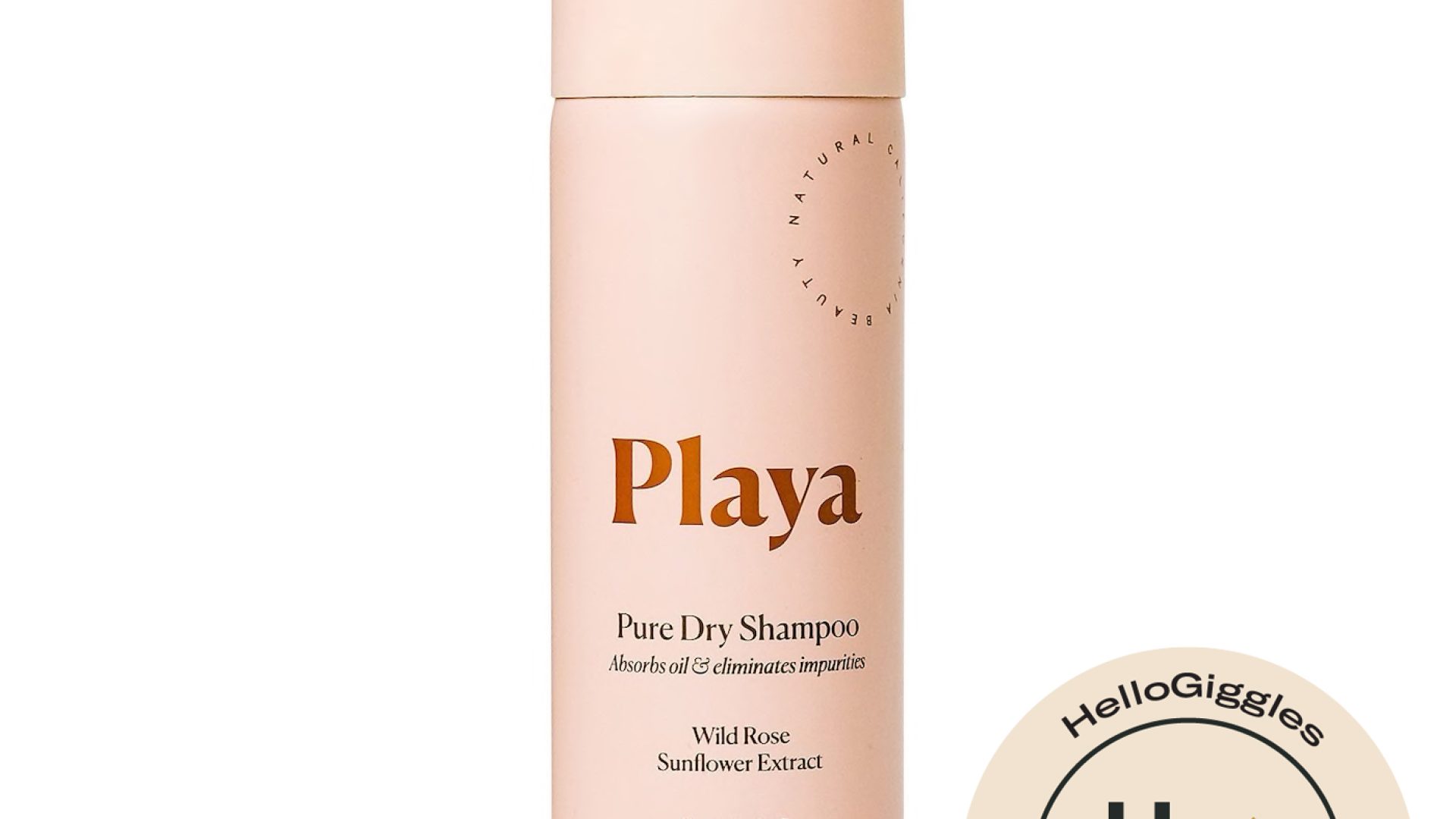 The 13 Best Dry Shampoo for Oily Hair 2021 Dry Shampoo for Greasy HairHelloGiggles