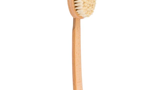 dry brushing cellulite
