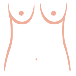 slender-boobs