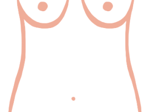 slender-boobs