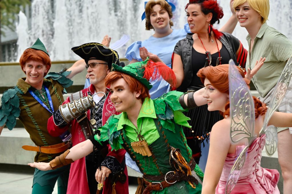 Adults Disney Costumes