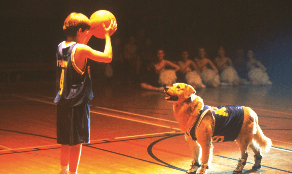 Air Bud