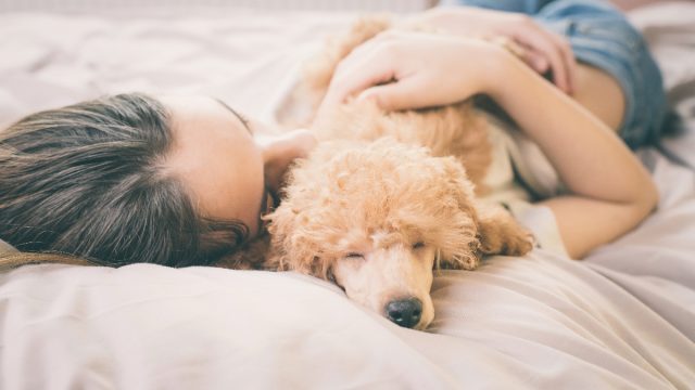 Sleeping with dog