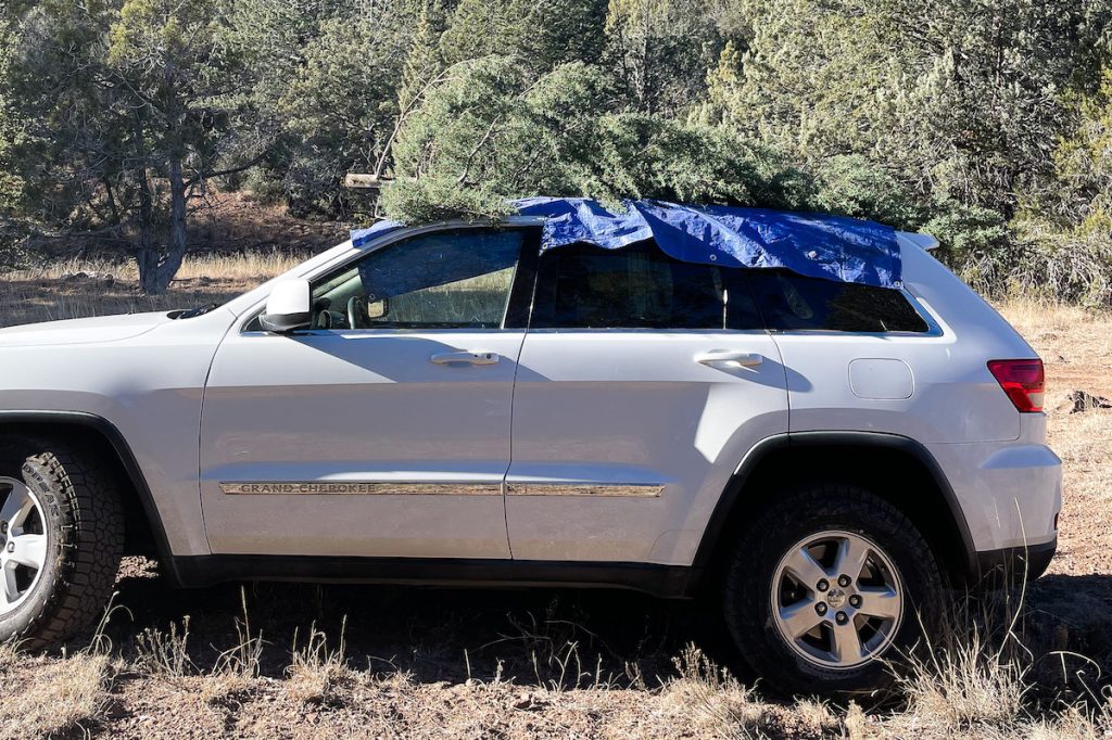 Car With Christmas Tree