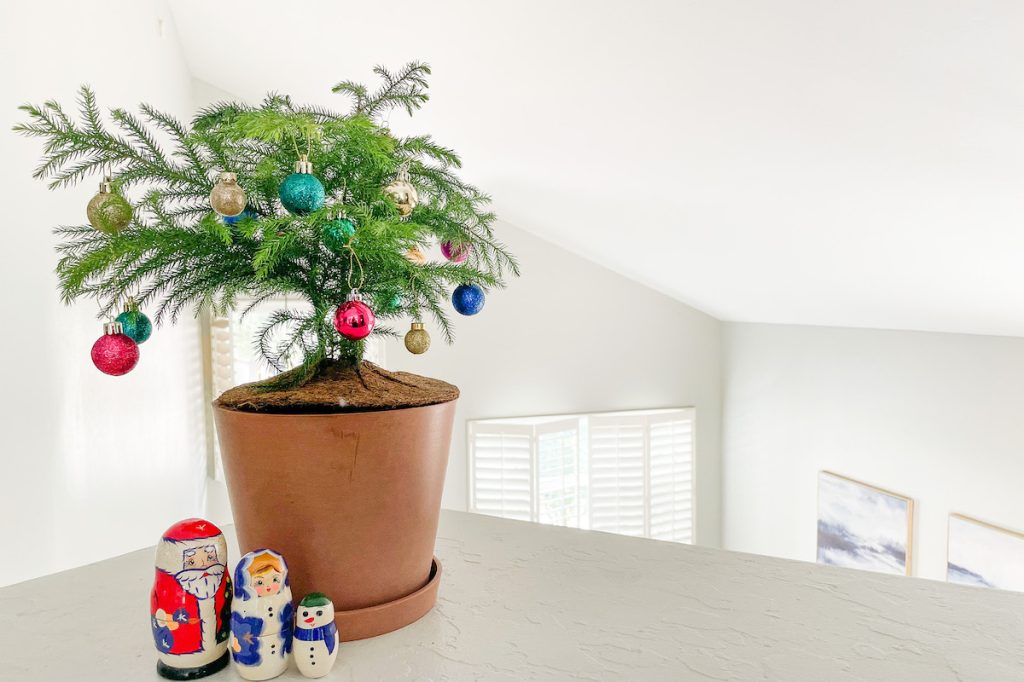 Potted Christmas Tree