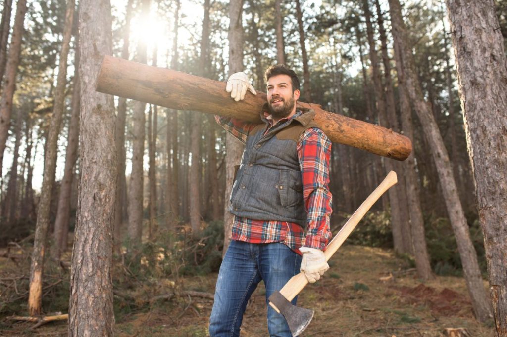 lumberjack