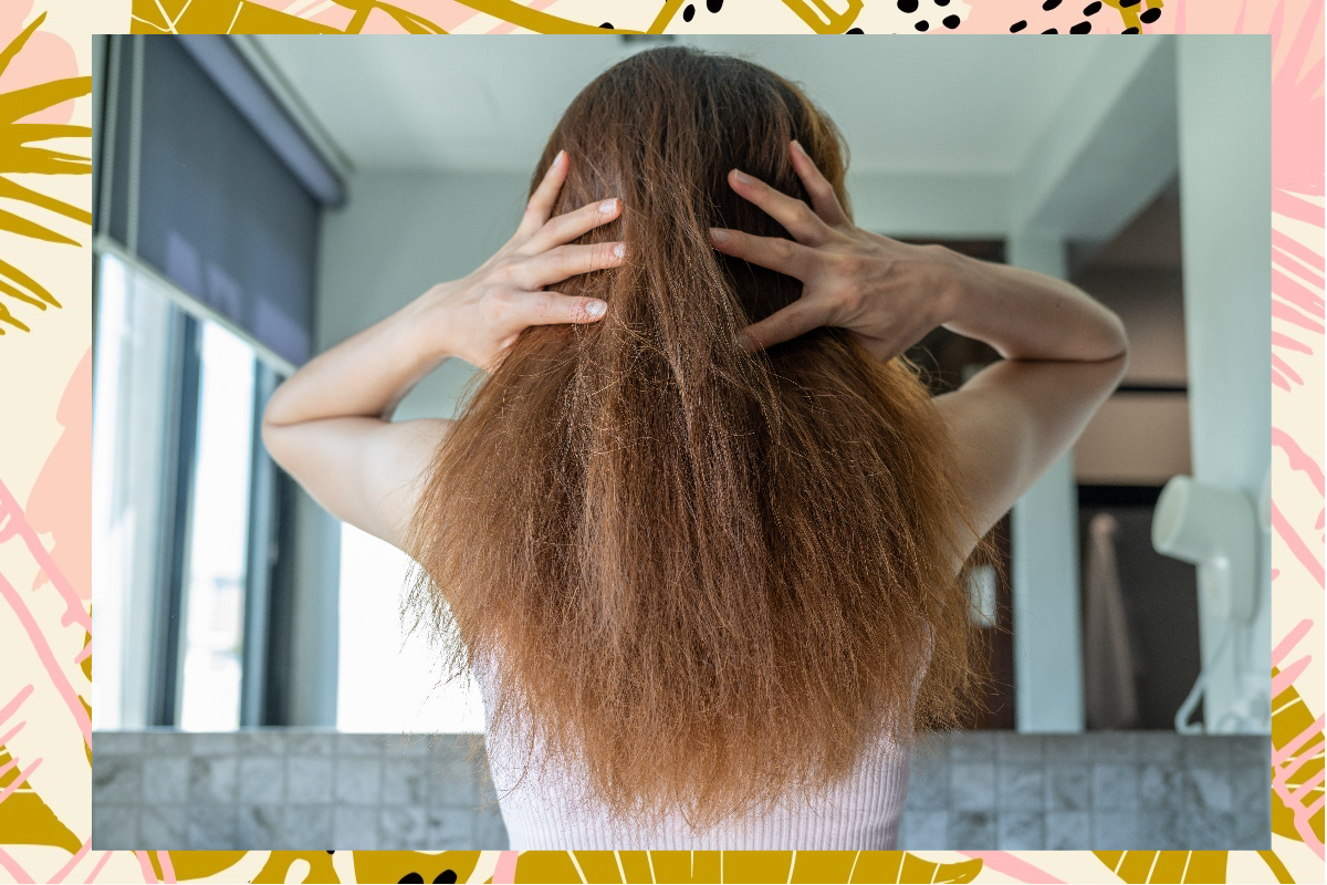 How To Start An Effective Hair Care Routine  Feminain