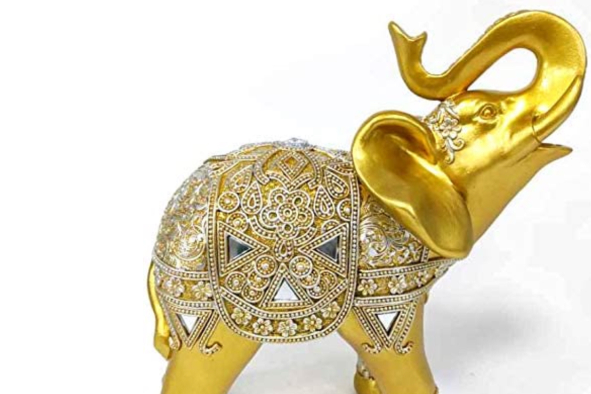 amazon elephant