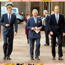 King Charles Prince Harry Prince William