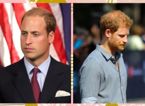 Prince William and Prince Harry aren't speaking